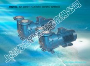 供應(yīng)WQP500-2000-15-110變頻廢水池泵