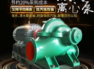 大流量雙吸泵抽水機大型16寸高揚程臥式排澇工業(yè)130kw